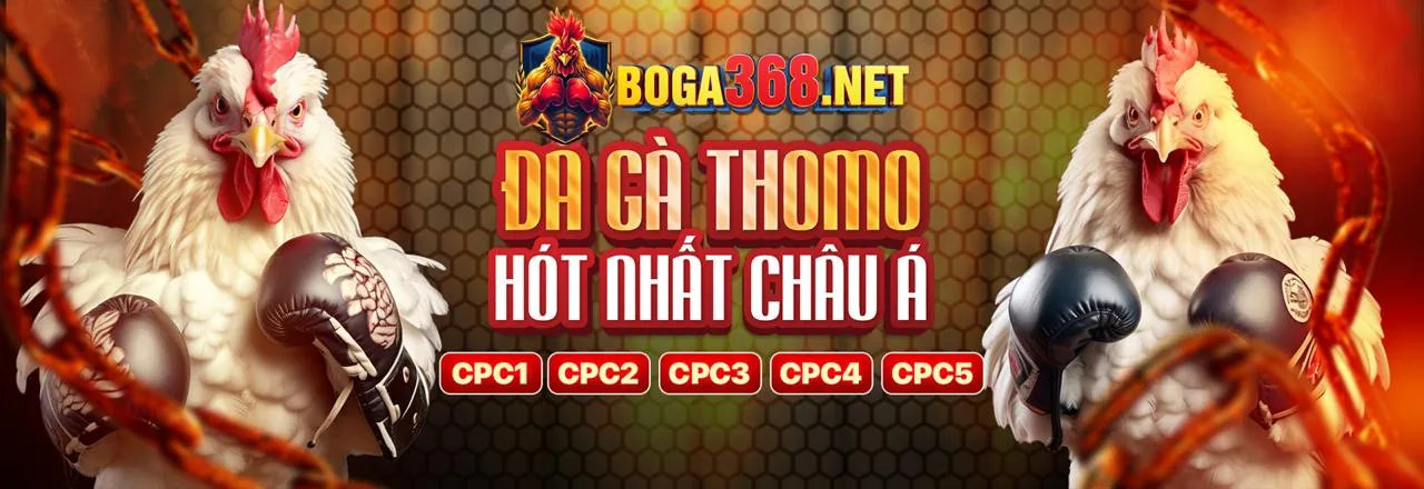 Hình ảnh kêu gọi hành động mbb66